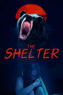 /watch-movie/the-shelter-2024